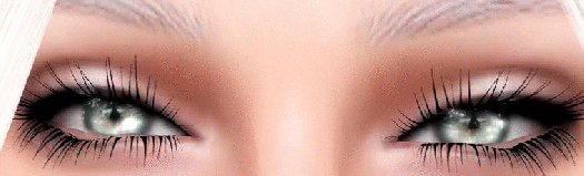 44449885f271eebabc9227c72c5013ec