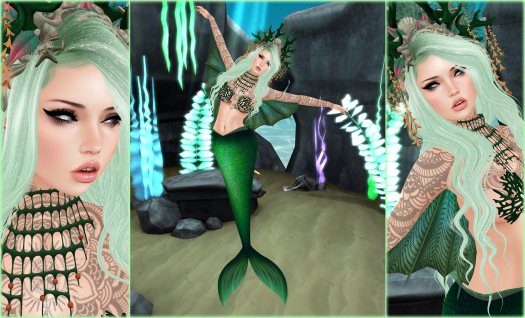 Survival of the fittest- details 2