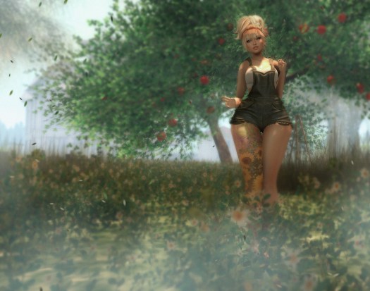 40618622814_de155085f5_k