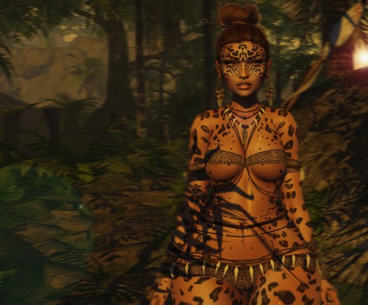 41289618864_9fb25b47df_k