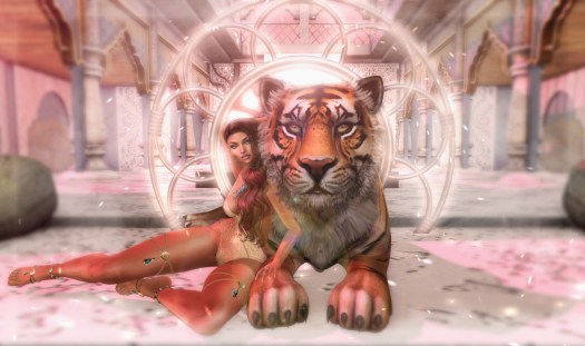 27637129217_fa4705d002_k